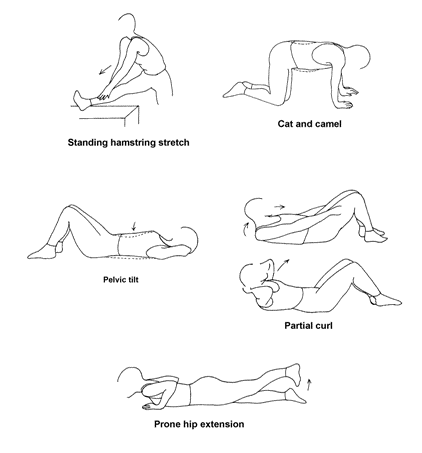 Lower Back Stretches for Back Pain